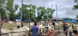 ទឹកជំនន់ធ្វើឱ្យខូចខាតស្រូវវស្សាជាង៥០០ហិចតា ក្នុងចំណោមផ្ទៃដីប៉ះពាល់ជាង២.០០០ហិចតា ខណៈពលរដ្ឋជាង៥.០០០គ្រួសារកំពុងរងផលប៉ះពាល់