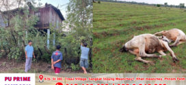 ឃុំចំនួន២ត្រូវបានភ្លៀងមួយមេលាយនិងខ្យល់កន្ត្រាក់ផ្គររន្ទះរងផលប៉ះពាល់ផ្ទះពលរដ្ឋស្មើ១៤ខ្នងនិងគោ២ក្បាលងាប់