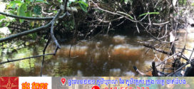 ករណីឃាតកម្ម លើស្ត្រីមេម៉ាយកូន៣ ដោយពុំទាន់ដឹងមូលហេតុ !