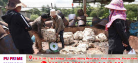 នៅត្រីមាសទី១ ដើមឆ្នាំនេះតម្លៃ​ជ័រកៅស៊ូ​ បានកើនឡើងជិត ២ ពាន់ដុល្លារក្នុងមួយតោន