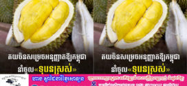 ចិនអនុញ្ញាតឱ្យប្រទេសកម្ពុជានាំចូល«ផ្លែទុរេនស្រស់» របស់ខ្លួនចូលទៅកាន់ទីផ្សាររបស់ប្រទេសចិន