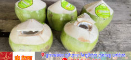ដូង​ឡើង​ថ្លៃ​ដោយសារ​អាកាសធាតុ​មិន​ល្អ​ជំរុញ​ឱ្យ​មាន​ការ​ខ្វះខាត​ជា​សកល