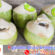 ដូង​ឡើង​ថ្លៃ​ដោយសារ​អាកាសធាតុ​មិន​ល្អ​ជំរុញ​ឱ្យ​មាន​ការ​ខ្វះខាត​ជា​សកល