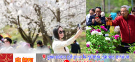 រដូវផ្ការីកមកដល់ហើយ សេដ្ឋកិច្ចទេសចរណ៍របស់ប្រទេសចិនរីកដុះដាលយ៉ាងពេញទំហឹង