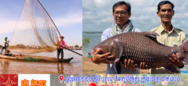 រដ្ឋបាលខេត្តស្ទឹងត្រែង ជូនដំណឹងពីរដូវបិទនេសាទ ឆ្នាំ២០២៥ ចាប់អនុវត្តពីថ្ងៃទី១ ខែឧសភា ដល់ថ្ងៃ៣០ ខែកញ្ញា