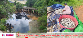 ប្រជាពលរដ្ឋសង្ស័យរោងចក្រចម្រាញ់ស្បែកគោ១កន្លែង (cambodia) Biotechnologyបង្ហូរទឹកស្អុយចូលព្រែកបណ្ដាលឲ្យពុលត្រី