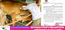 អគ្គនាយកដ្ឋានគយនិងរដ្ឋាករកម្ពុជា ណែនាំដល់ភាគីពាក់ព័ន្ធពីវិធានការទប់ស្កាត់ជំងឺឈាមខ្មៅ ឬជំងឺអង់ត្រាក់ ដោយផ្អាកការនាំចូលជាបណ្តោះអាសន្នលើសត្វពាហនៈ (គោ-ក្របី) និងសាច់គោ-ក្របីពីប្រទេសថៃ