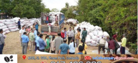 រយៈពេល​ ៤ខែដើមឆ្នាំនេះ​! កម្ពុជានាំចេញអង្ករជិត៣០ម៉ឺនតោន និងនាំចេញស្រូវ ៣លានតោន ទទួលបានចំណូលជាង ៩០០លានដុល្លារ