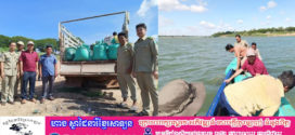 ខណ្ឌរដ្ឋបាលជលផលកំពង់ចាមសហការជាមួយរដ្ឋបាលជលផលមេគង្គ បង្ក្រាបលៀសជាង៩តោនដោយគ្មានលិខិតអនុញ្ញាត