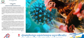 មានករណីកុមារា អាយុ១១ឆ្នាំម្នាក់ នៅស្រុកសំរោងទង ខេត្តកំពង់ស្ពឺ ស្លាប់ដោយសារជំងឺផ្តាសាយបក្សី