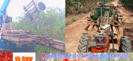 មន្ត្រីការិយាល័យឧទ្យានជាតិ ស្ទូចឈើ និងរទេះជាវត្ថុតាងបទល្មើសទៅរក្សាទុក នេះសឲ្យឃើញថាការកាត់ជ្រៀកអារ និងដឹកជញ្ជូននៅតែកើតពេញទំហឹង ក្នុងដែនសមត្ថកិច្ចរបស់ខ្លួន