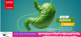 ស្វែងយល់ អំពី រោគសញ្ញាធំៗ នៃជំងឺវិបត្តិរំលាយអាហារ!