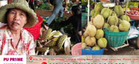 ម្ចាស់ចម្ការទុរេន ខ្មែរ ថាមិនទាន់បានបេះលក់នៅឡើយទេ,ចុះផ្លែទុរេនម៉ាន់ថងដាក់តាំងលក់ពាសពេញនៅកណ្ដាលក្រុងបានលុង មកពីណា?