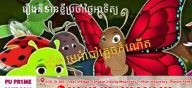 រឿងនិទានប្រចាំថ្ងៃអាទិត្យ* រឿង៖ មេអំបៅភ្លេចកំណើត