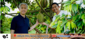 ទូតចិនប្រចាំកម្ពុជា ៖ ជឿជាក់ថាទុរេនខ្មែរឆ្ងាញ់កាន់តែច្រើននឹងត្រូវនាំចេញទៅកាន់ប្រទេសចិននាពេលអនាគត