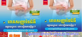 ស្វែងយល់ រោគសញ្ញានៃជំងឺខ្សោយក្រពះ ពោះវៀនមានអ្វីខ្លះ?