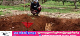 ប្រទះឃើញគ្រាប់បែកចង្កោមចំនួន១៣២ គ្រាប់ ហេីយកូនគ្រាប់បែកដែលនៅសេសសល់ក្នុងបំពង់ប្រហែលចំនួន១២០គ្រាប់​នៅក្នុងចម្ការស្វាយចន្ទី