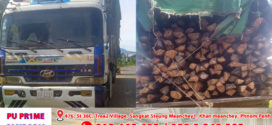 ព័ត៌មានបឋម! សមត្ថកិច្ចអនុវត្តរថយន្តធុនធំដឹកផលអនុផលព្រៃឈើ១គ្រឿងបន្ថែមទៀត ខណៈទើបអនុវត្តរួច២គ្រឿង