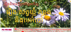 រឿងនិទានខ្លីប្រចាំថ្ងៃអាទិត្យ៖ រឿង៖ សត្វឃ្មុំ កន្លង់ និងមេអំបៅ