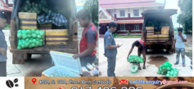 ករណីបិទច្រកព្រំដែន÷ បង្ក្រាបដូងក្រអូបរាប់ពាន់ផ្លែ គេចពន្ធពីថៃឆ្លងកាត់ព្រំដែនឡាវ ចូលមកខេត្តព្រះវិហារ
