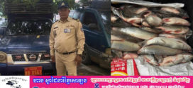ត្រីក្លាសសេជាង២០តោនត្រូវសមត្ថកិច្ចបង្ក្រាបបានខណៈឈ្មួញកំពុងដឹក​ជញ្ជូ​ន​នាំចូល​ពីប្រទេសថៃដោយគ្មានលិខិតអនុញ្ញាត