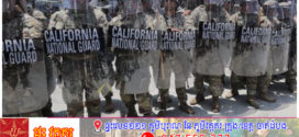 បាតុកម្មនៅទីក្រុង Los Angeles កាន់តែតានតឹង ទីក្រុង Chicago និង New York ចូលរួមតវ៉ា