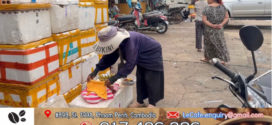Update ៖ ប្រទះឃើញសាកសពទារក ក្បែរផ្សារទួលគោក ដែលគេយកមកប្លុងចោល