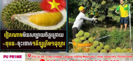 វៀតណាមមិនសប្បាយចិត្ត !ក្រោយ«ទុរេន»ចុះថោក១គីឡូត្រឹម១ដុល្លារ