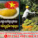 វៀតណាមមិនសប្បាយចិត្ត !ក្រោយ«ទុរេន»ចុះថោក១គីឡូត្រឹម១ដុល្លារ