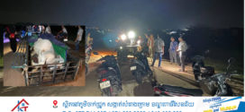 លួចសត្វគោបានមួយក្បាលជិះប្រទះឃេីញសមត្ថកិច្ចល្បាតទុករ៉ឺម៉កចោលរត់គេចខ្លួនបាត់