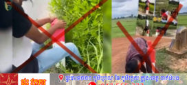 ក្រសួងសាធារណការ ឲ្យមានវិធានការជាបន្ទាន់លើយុវជនបំផ្លិចបំផ្លាញទ្រព្យសម្បត្តិរដ្ឋ
