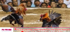 ការបាញ់សម្លាប់រង្គាលនៅប្រទេសហ្វីលីពីន ពាក់ព័ន្ធសង្វៀនបញ្ជល់មាន់