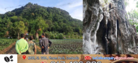 ក្រសួងបរិស្ថាន និង ភាគីពាក់ព័ន្ធបានធ្វើការពិនិត្យ ដើម្បី រៀបចំចុះបញ្ជីភ្នំសំពៅ និង ភ្នំបាណន់ នៅក្នុងខេត្តបាត់ដំបង ជាតំបន់បេតិភណ្ឌធម្មជាតិ