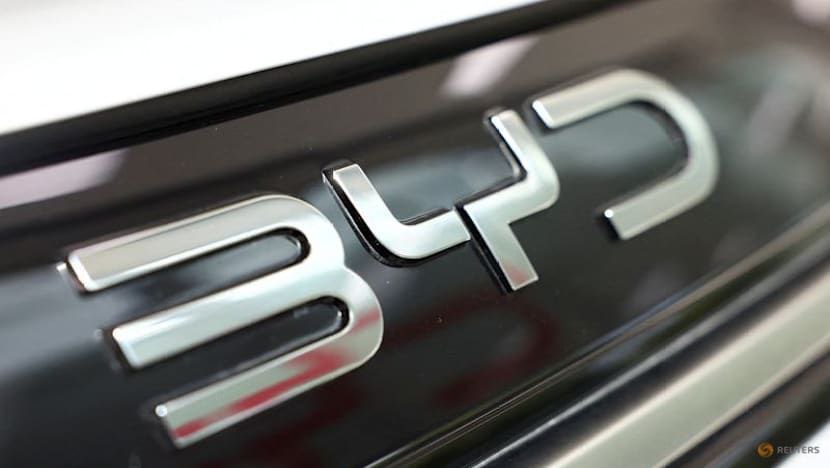 BYD Car Sales