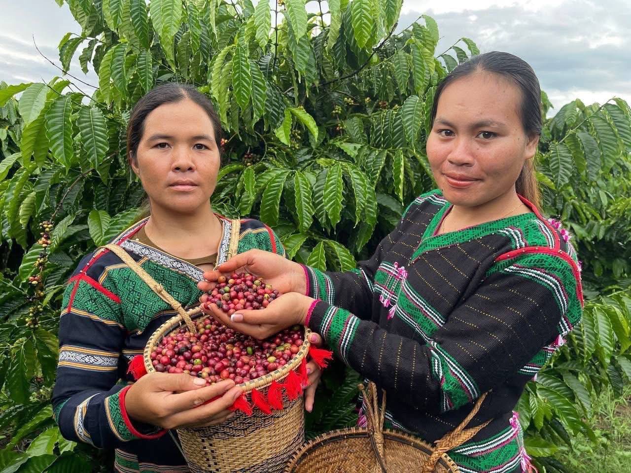 រដ្ឋមន្ត្រីដែនដី