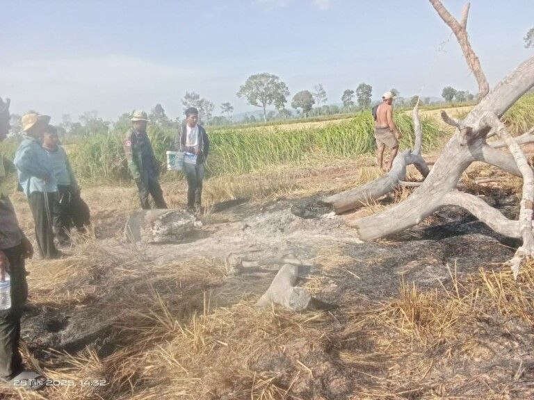 ស្រែបំផ្លាញ