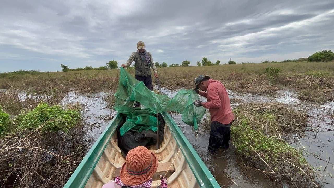 សត្វផ្សោតទន្លេមេគង្គ