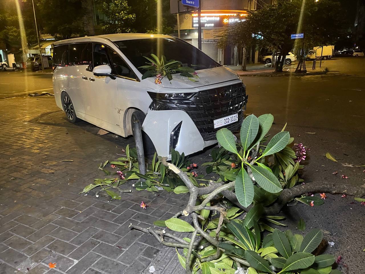 រថយន្ត ALPHARD បុកដើមចំប៉ី