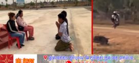 ក្មេងទំនើងបង្ហោះម៉ូតូដើម្បីឲ្យគ្រប់គ្នាមើលមកខ្លួនថាឡូយអស្ចារ្យ ត្រូវនគរបាលស្រុកសាមគ្គីមុន្នីជ័យបង្ក្រាប