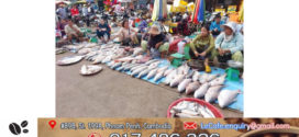 ក្នុងមួយឆ្នាំខេត្តក្រចេះ ដែលជាប់ដងទន្លេ​មេគង្គ​ទទួលបានទិន្នផល​​ត្រីប្រមាណ ៥ ពាន់តោន