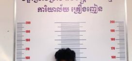 ឃាត់ខ្លួនបុរសម្នាក់ករណីយកដើមអាកាស្យា វាយរថយន្តរបស់គេបណ្ដាលឲ្យខូចខាត