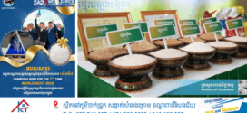 រយៈពេល១២ខែឆ្នាំ២០២៥! កម្ពុជាទទួលបានចំណូលជាង ៦០០លានដុល្លារ ពីការនាំចេញអង្ករជាង ៩៤ម៉ឺនតោន