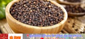 ការនាំចេញម្រេចរបស់កម្ពុជា រកចំណូលបាន ៣១លានដុល្លារ ធ្លាក់ចុះ ១២% ក្នុងឆ្នាំ ២០២៥