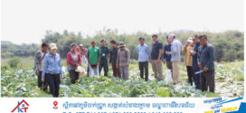 អភិបាលខេត្តប៉ៃលិន ចុះពិនិត្យមើលការបង្កបង្កើនផលដំណាំបន្លែ របស់បងប្អូនប្រជាកសិករ សម្រាប់ផ្គត់ផ្គង់ទីផ្សារក្នុងស្រុក និងនាំចេញ