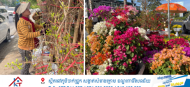 ឆ្នាំនេះអាជីវករលក់ផ្កាអង្គារ៏សីលបង្ហាញការសប្បាយចិត្ដព្រោះលក់ដាច់ច្រើនជាងរាល់ឆ្នាំ
