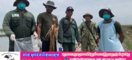 ការបំពុលសត្វស្លាបនៅតំបន់ការពារទេសភាពបឹងព្រែកល្ពៅនៅតែបន្តកើតមាន