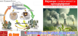 វិចារណកថា! ទីផ្សារកាបូន (Carbon Market)៖ យន្តការសេដ្ឋកិច្ចដើម្បីភពផែនដី