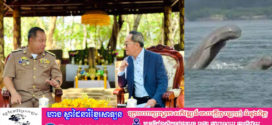 អភិបាលខេត្តស្ទឹងត្រែង​៖ សត្វផ្សោតកំពុងត្រូវបានអភិរក្សដោយការយកចិត្តទុកដាក់ខ្ពស់ពីមន្ត្រីជំនាញ ​