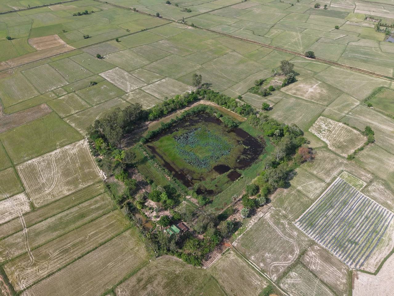 ទីតាំងបុរាណដ្ឋាននៅភ្នំបាយ៉ង់