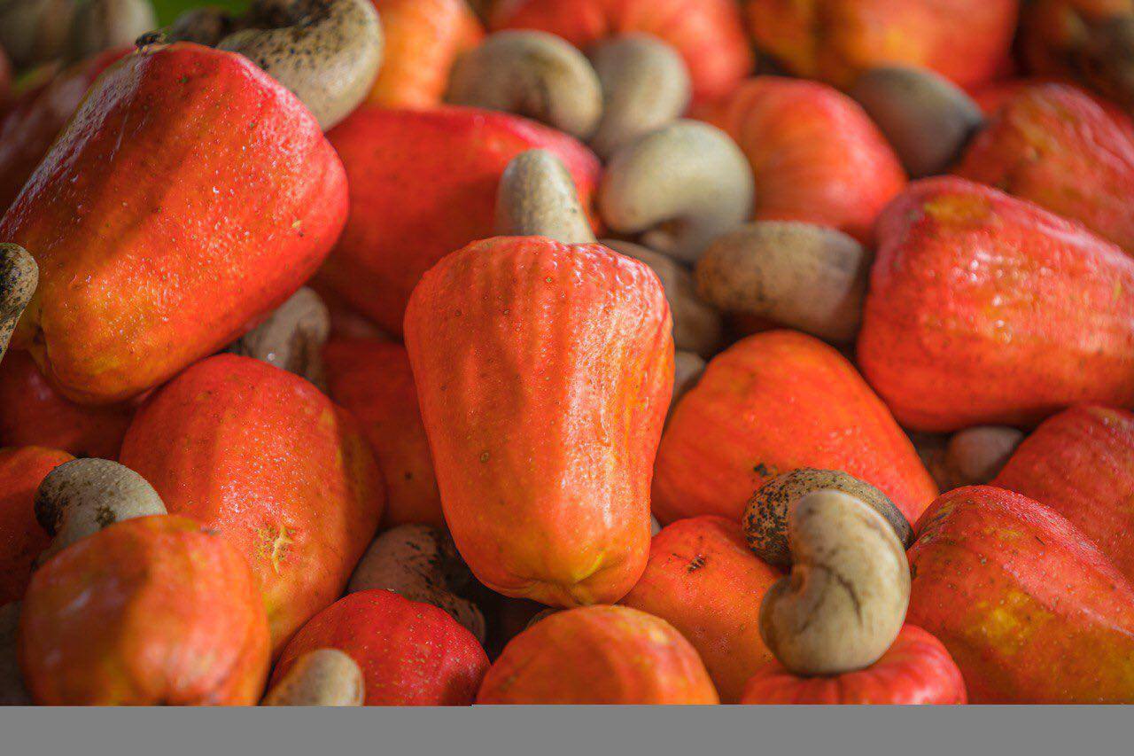 កិច្ចសន្យាវិនិយោគ
